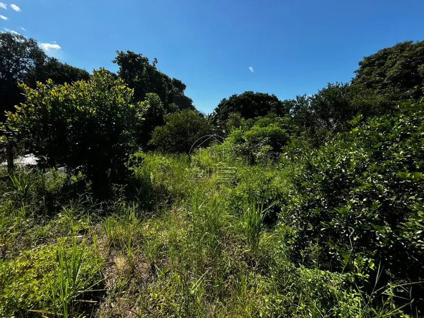 Foto 2 de Terreno / Lote com 3 quartos à venda, 125m2 em Monte Mor - SP