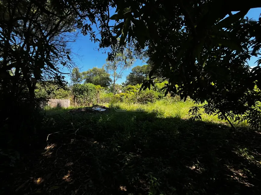 Foto 8 de Terreno / Lote com 3 quartos à venda, 125m2 em Monte Mor - SP