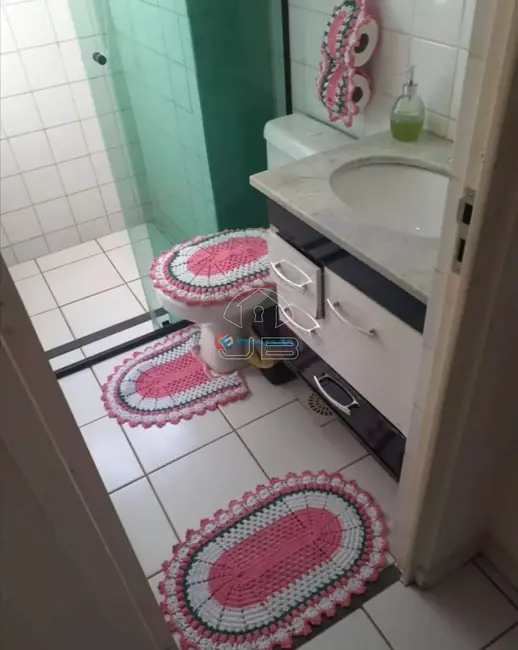 Foto 6 de Apartamento com 2 quartos à venda, 42m2 em Jardim Santa Terezinha (Nova Veneza), Sumare - SP