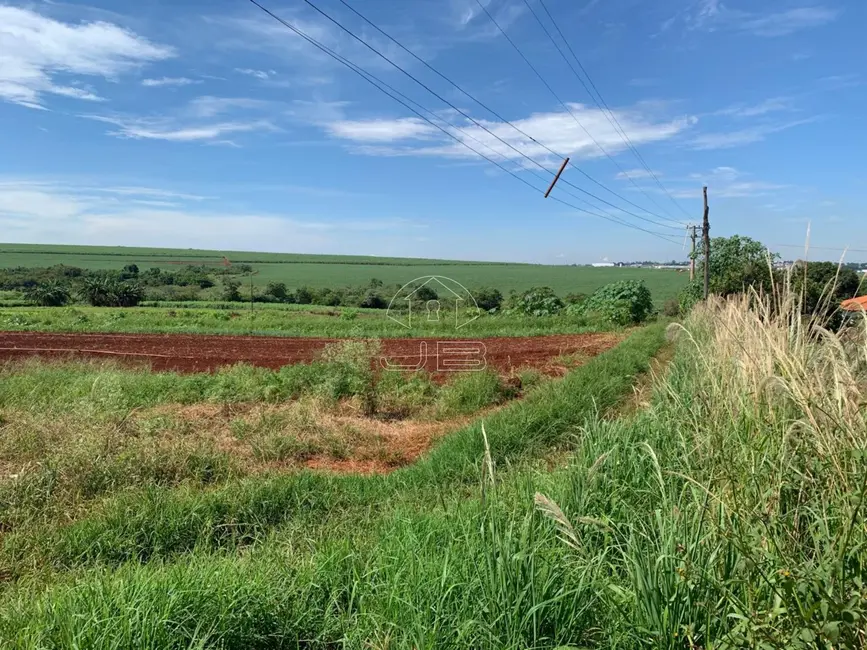 Foto 7 de Terreno / Lote à venda, 800m2 em Campinas - SP