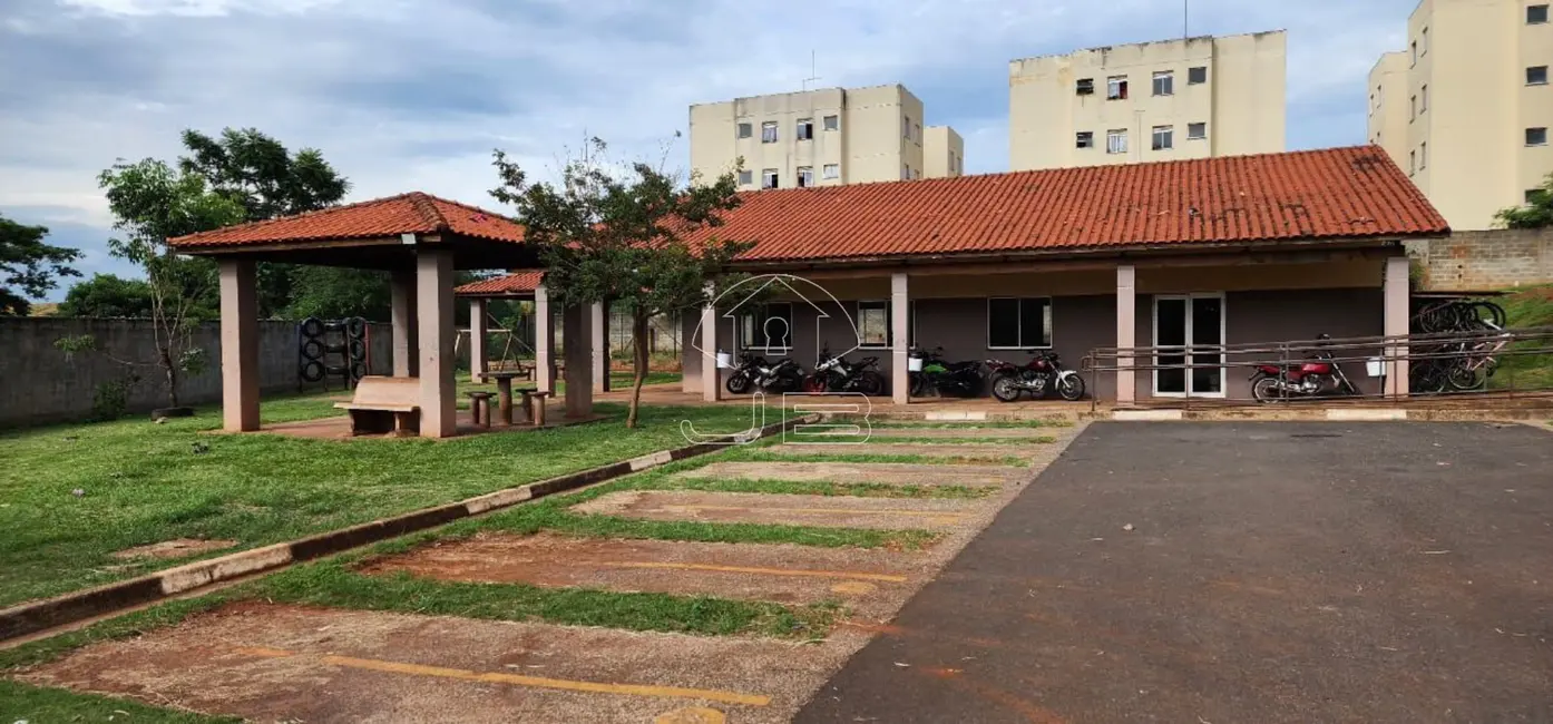 Foto 3 de Apartamento com 2 quartos à venda, 43m2 em Parque Yolanda (Nova Veneza), Sumare - SP