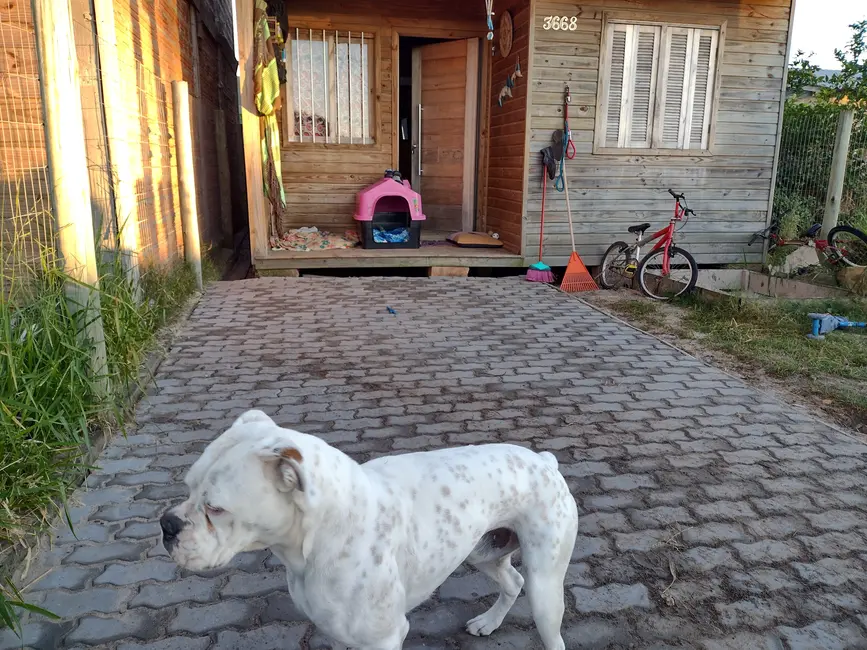 Foto 5 de Casa com 2 quartos à venda, 45m2 em Capao Da Canoa - RS