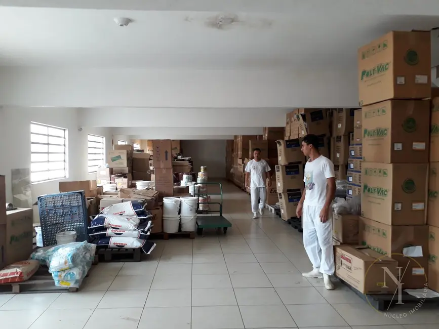 Prédio Inteiro com 3 quartos à venda e para alugar, 805m2 em Jardim Vera Cruz(Zona Leste), São Paulo - SP - imagem 4 Foto 4 de Prédio Inteiro com 3 quartos à venda e para alugar, 805m2 em Jardim Vera Cruz(Zona Leste), São Paulo - SP