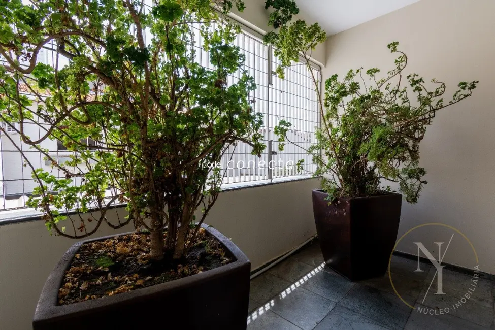 Foto 1 de Casa com 3 quartos à venda, 355m2 em Belenzinho, São Paulo - SP