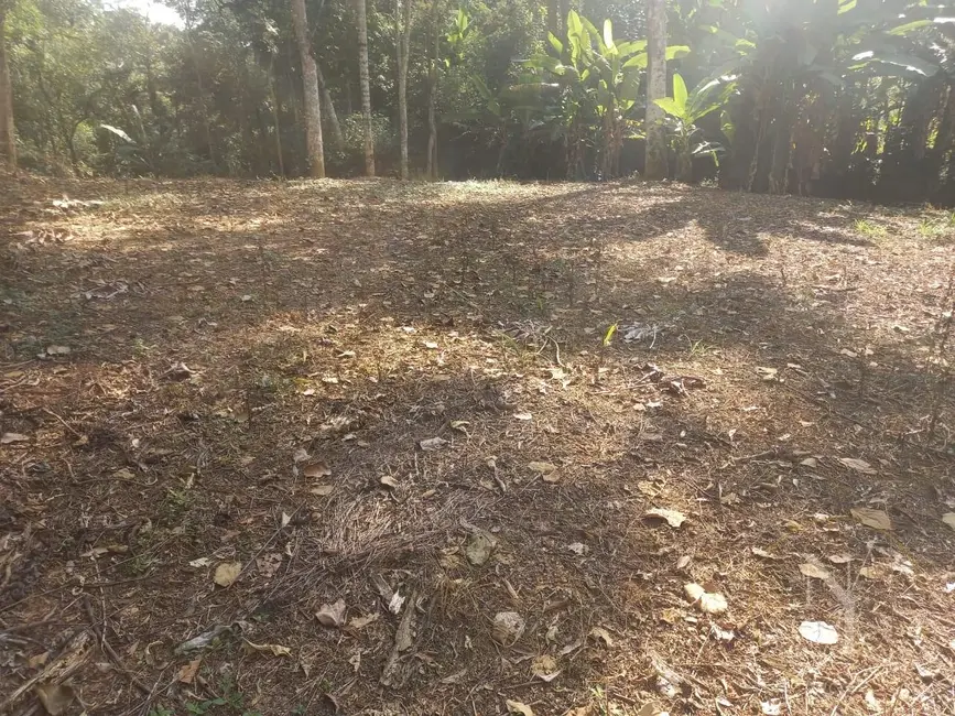 Foto 6 de Chácara com 3 quartos à venda, 800m2 em Parque Rodrigo Barreto, Aruja - SP