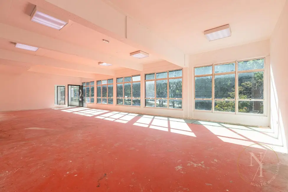 Prédio Inteiro com 10 quartos para alugar, 300m2 em Pinheiros, São Paulo - SP - imagem 6 Foto 6 de Prédio Inteiro com 10 quartos para alugar, 300m2 em Pinheiros, São Paulo - SP