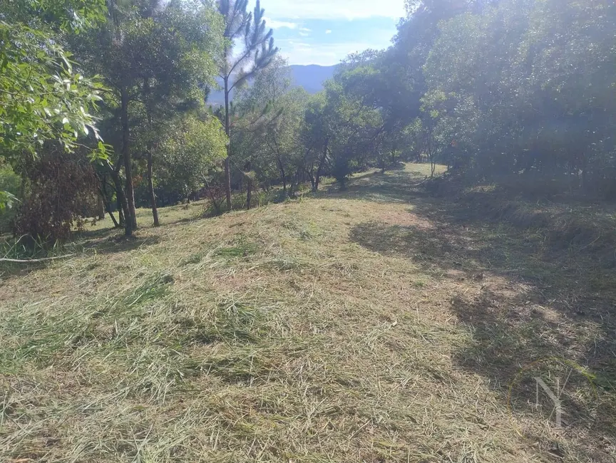 Foto 3 de Fazenda / Haras à venda, 20000m2 em Parque Fernão Dias, Atibaia - SP