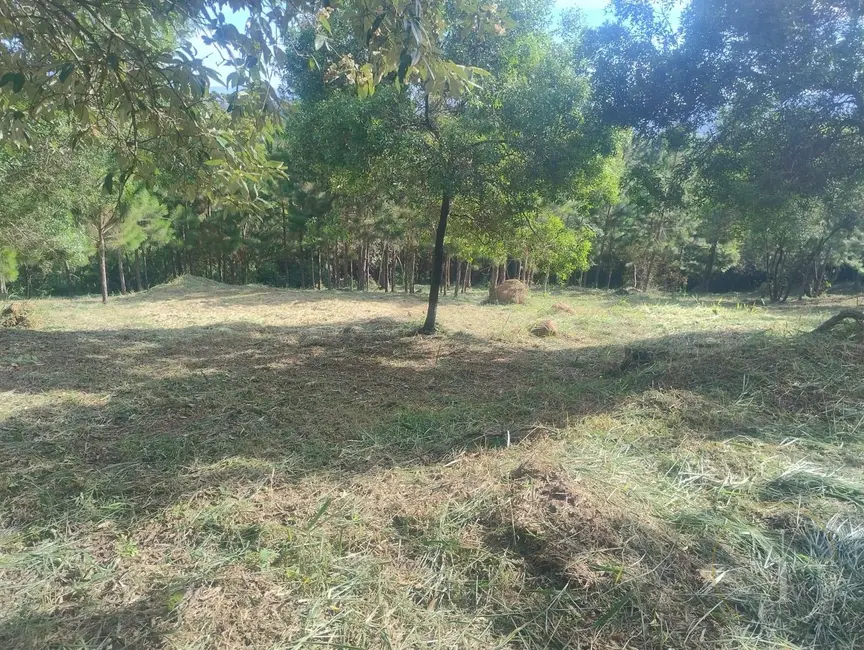 Foto 6 de Fazenda / Haras à venda, 20000m2 em Parque Fernão Dias, Atibaia - SP