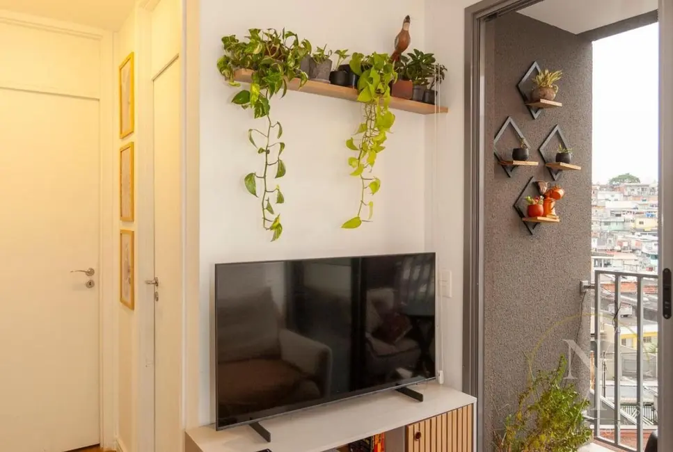 Apartamento com 2 quartos à venda, 46m2 em Jardim Marajoara, São Paulo - SP - imagem 8 Foto 8 de Apartamento com 2 quartos à venda, 46m2 em Jardim Marajoara, São Paulo - SP