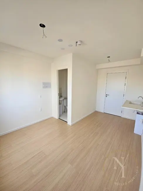Foto 3 de Sala Comercial com 1 quarto para alugar, 17m2 em Vila Dom Pedro I, São Paulo - SP