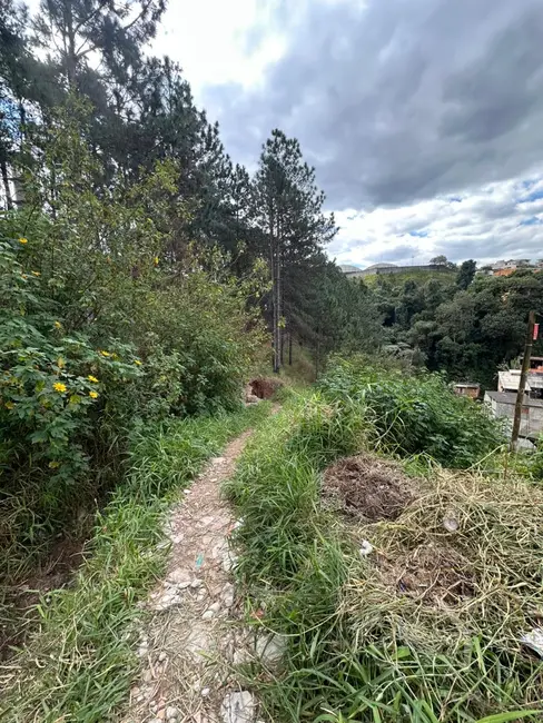 Foto 5 de Chácara à venda, 6941m2 em Vila Rosina, Caieiras - SP