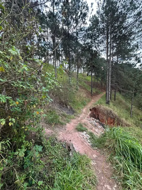 Foto 8 de Chácara à venda, 6941m2 em Vila Rosina, Caieiras - SP