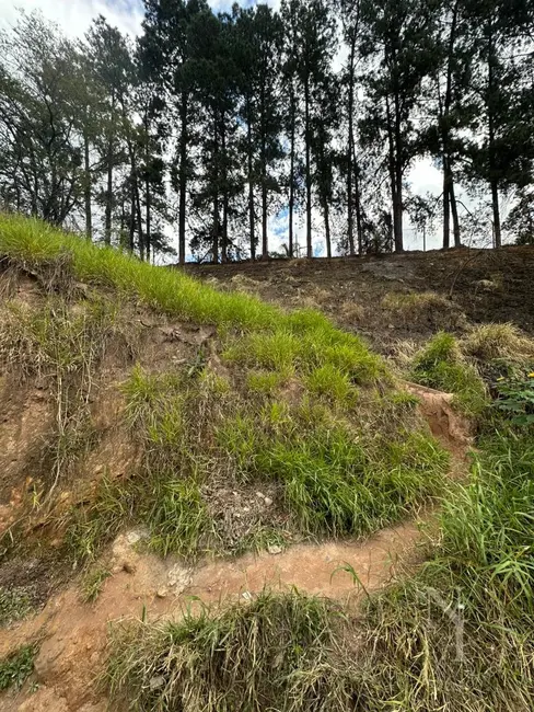 Foto 7 de Chácara à venda, 6941m2 em Vila Rosina, Caieiras - SP