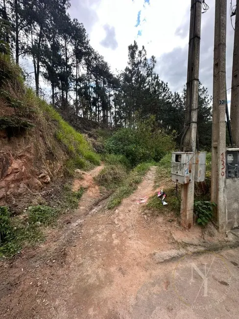 Foto 4 de Chácara à venda, 6941m2 em Vila Rosina, Caieiras - SP