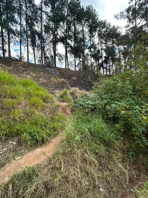 Foto 6 de Chácara à venda, 6941m2 em Vila Rosina, Caieiras - SP