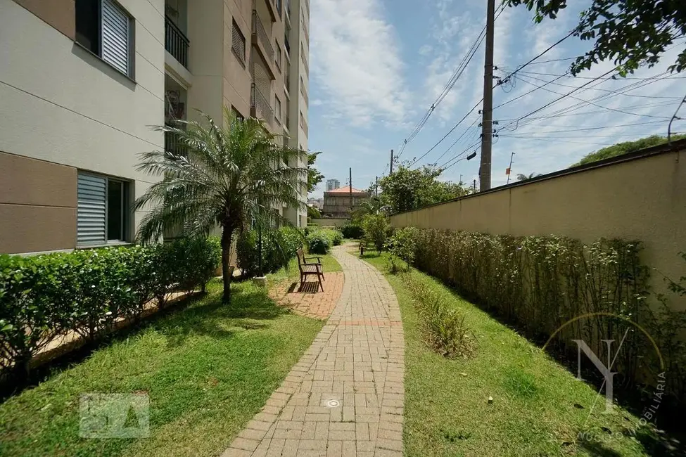 Apartamento com 2 quartos à venda, 48m2 em Quinta da Paineira, São Paulo - SP - imagem 9 Foto 9 de Apartamento com 2 quartos à venda, 48m2 em Quinta da Paineira, São Paulo - SP