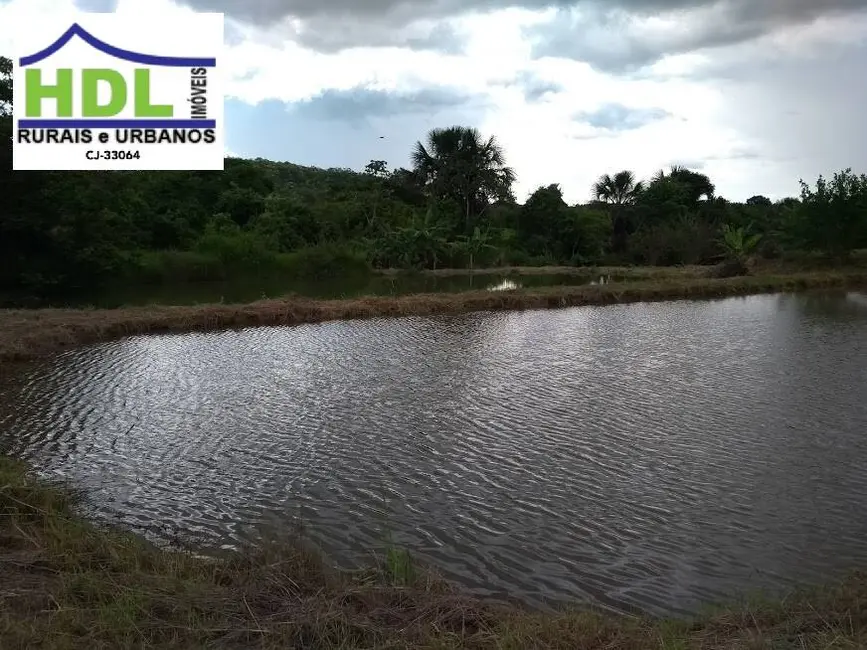 Foto 3 de Fazenda / Haras com 4 quartos à venda, 39m2 em Piracanjuba - GO