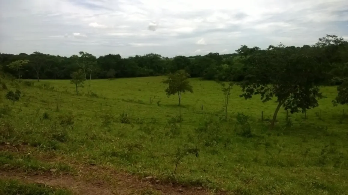 Foto 9 de Fazenda / Haras à venda, 39m2 em Piracanjuba - GO