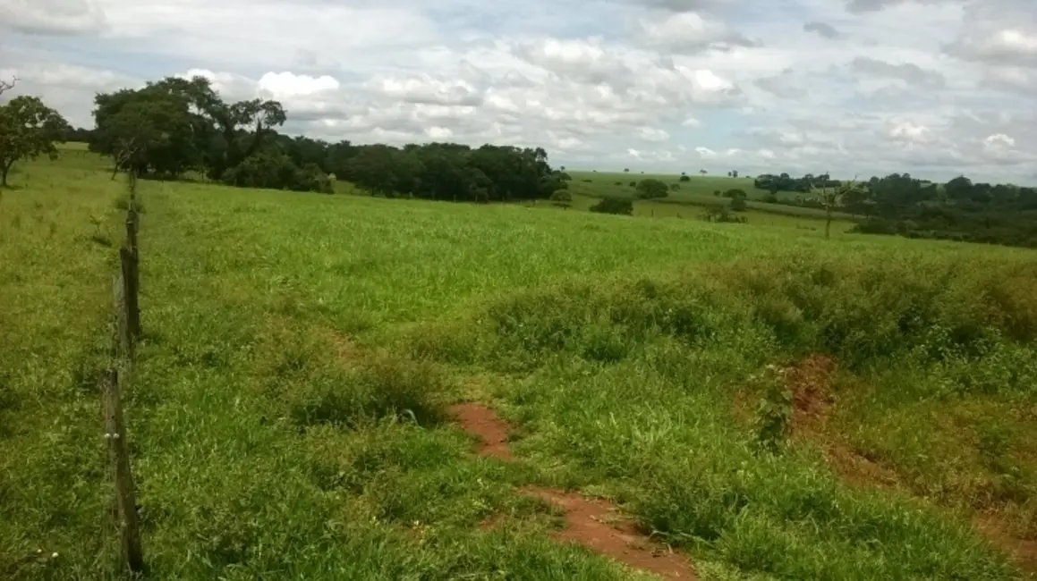 Foto 4 de Fazenda / Haras à venda, 39m2 em Piracanjuba - GO