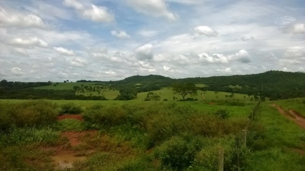 Foto 3 de Fazenda / Haras à venda, 39m2 em Piracanjuba - GO