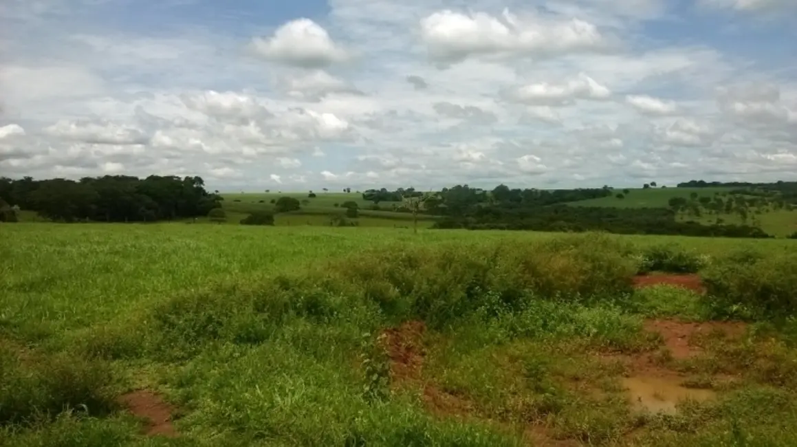 Foto 5 de Fazenda / Haras à venda, 39m2 em Piracanjuba - GO