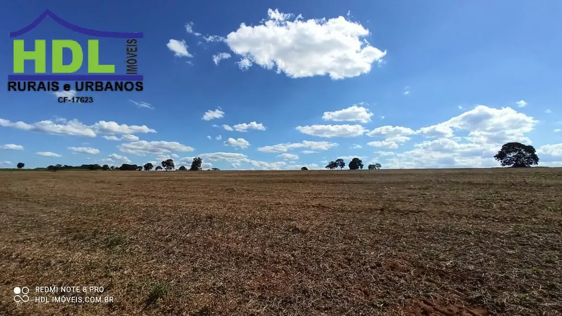 Foto 5 de Fazenda / Haras à venda, 28m2 em Professor Jamil - GO