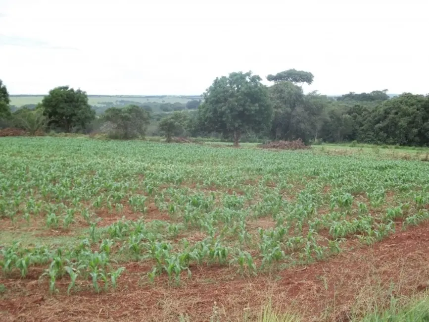 Foto 9 de Fazenda / Haras à venda, 24m2 em Hidrolandia - GO