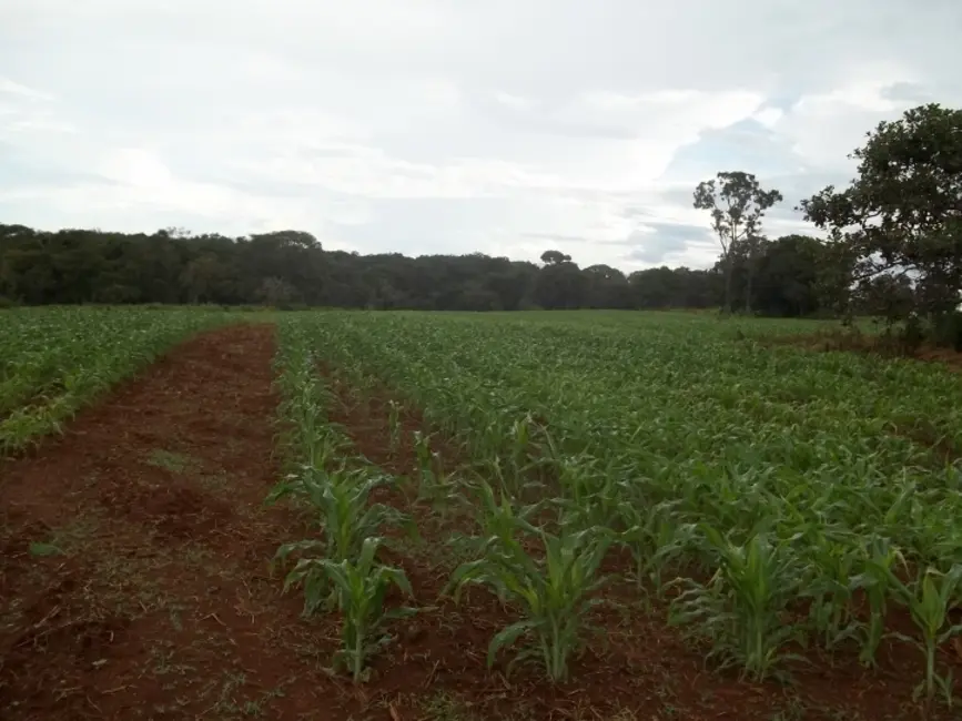 Foto 6 de Fazenda / Haras à venda, 24m2 em Hidrolandia - GO