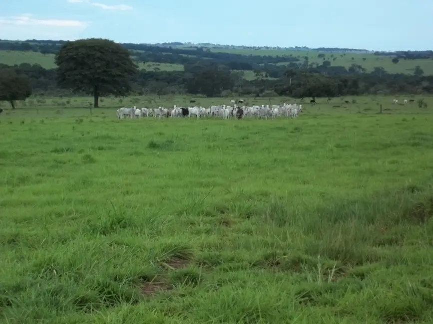 Foto 1 de Fazenda / Haras à venda, 24m2 em Hidrolandia - GO