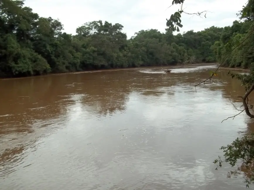 Foto 4 de Fazenda / Haras à venda, 24m2 em Hidrolandia - GO