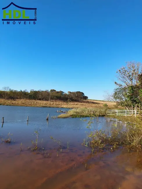 Foto 7 de Fazenda / Haras à venda, 107m2 em Quirinopolis - GO