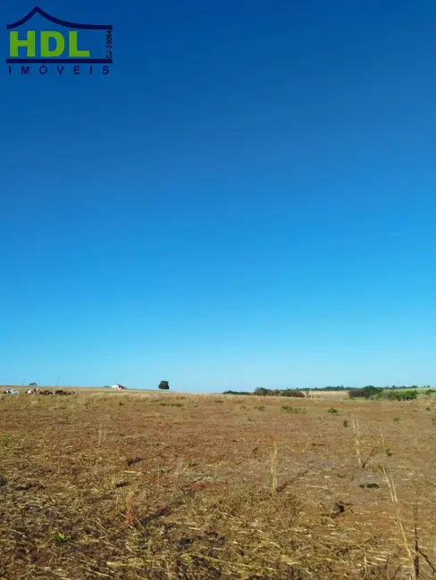 Foto 5 de Fazenda / Haras à venda, 107m2 em Quirinopolis - GO