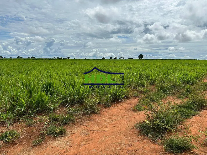 Foto 8 de Fazenda / Haras à venda, 1143m2 em Nova Xavantina - MT
