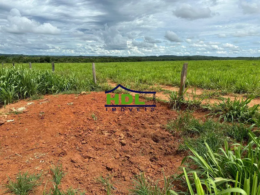 Foto 9 de Fazenda / Haras à venda, 1143m2 em Nova Xavantina - MT