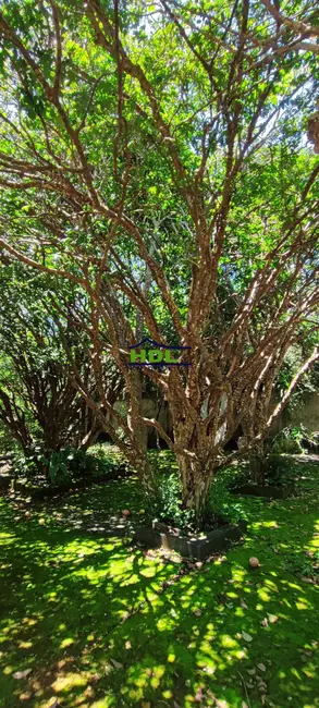 Foto 2 de Casa com 2 quartos à venda, 8778m2 em Hidrolandia - GO