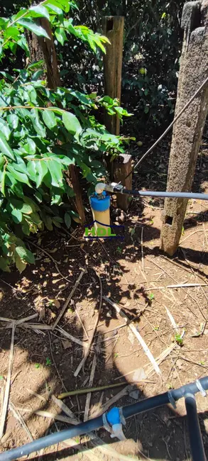 Casa com 2 quartos à venda, 8778m2 em Hidrolandia - GO - imagem 4 Foto 4 de Casa com 2 quartos à venda, 8778m2 em Hidrolandia - GO