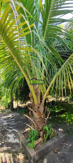 Casa com 2 quartos à venda, 8778m2 em Hidrolandia - GO - imagem 3 Foto 3 de Casa com 2 quartos à venda, 8778m2 em Hidrolandia - GO