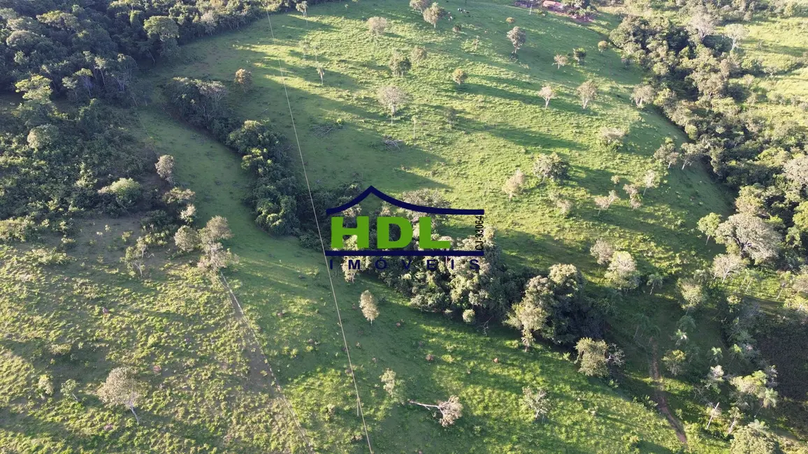 Foto 19 de Chácara à venda em Hidrolandia - GO