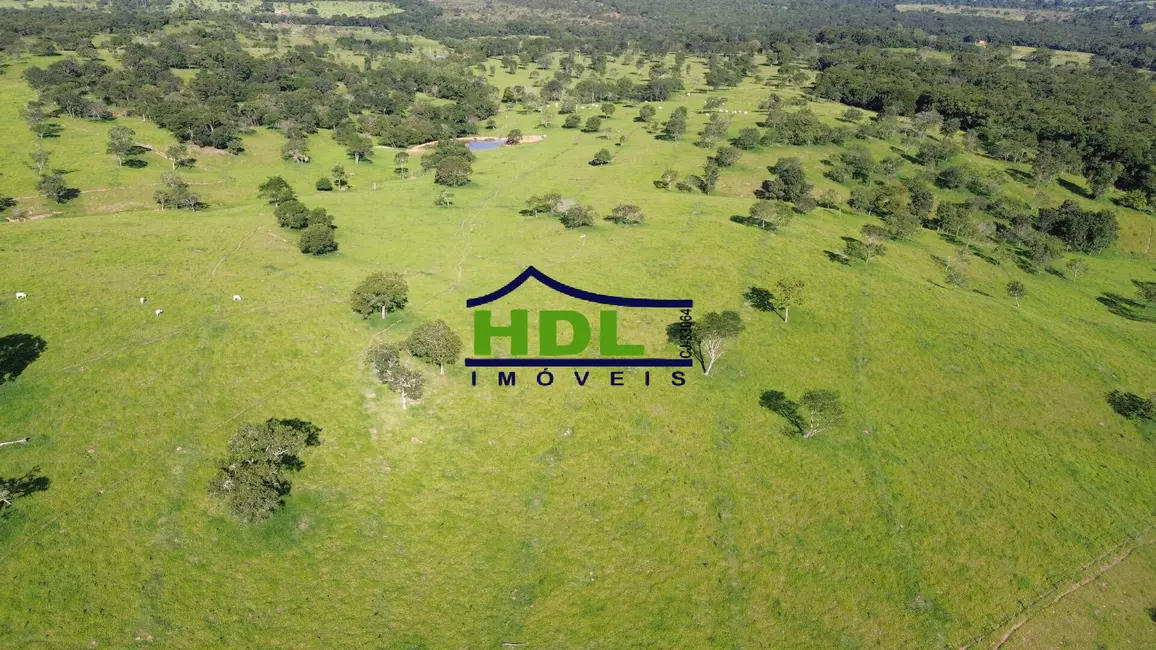 Fazenda / Haras à venda, 54m2 em Crominia - GO - imagem 3 Foto 3 de Fazenda / Haras à venda, 54m2 em Crominia - GO