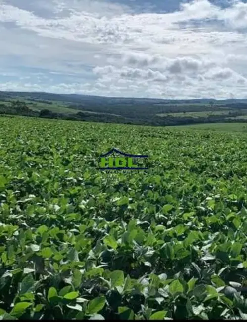Foto 5 de Chácara à venda e para alugar em Pires Do Rio - GO
