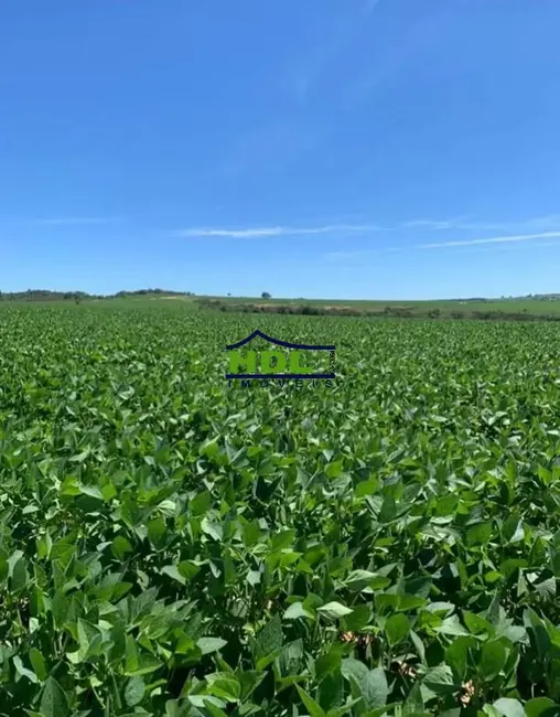 Foto 3 de Chácara à venda e para alugar em Pires Do Rio - GO