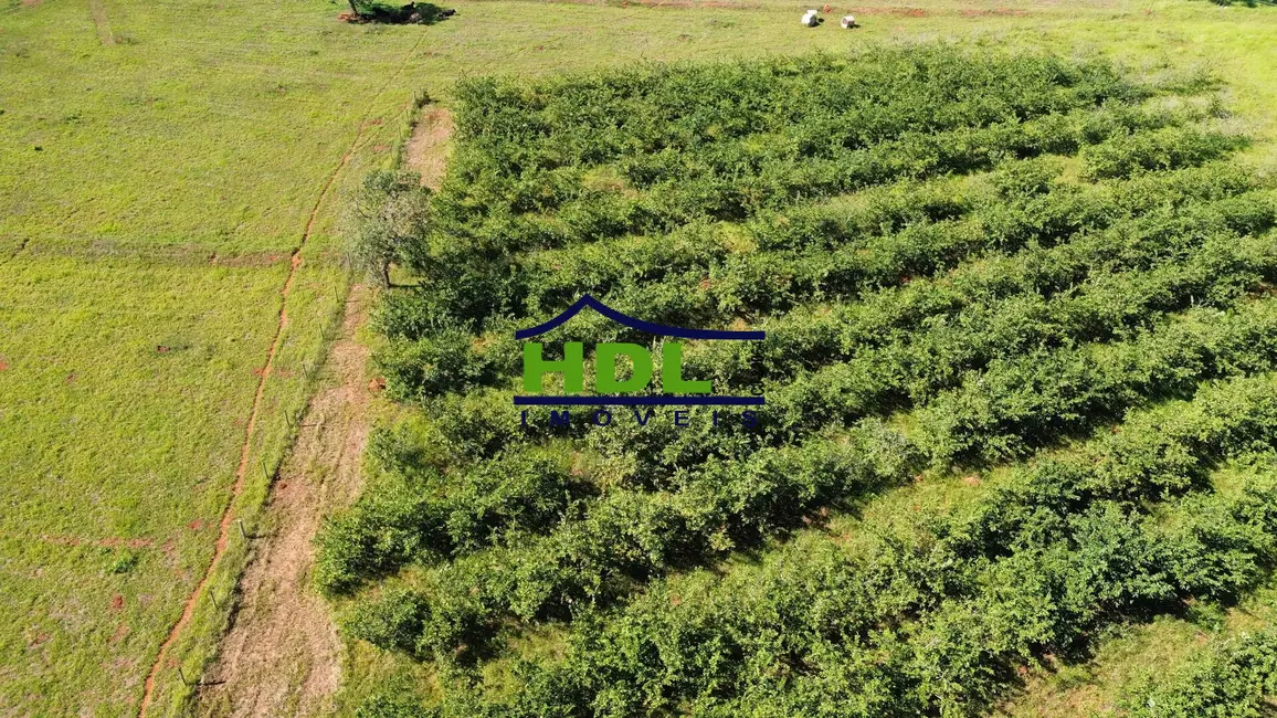 Foto 10 de Chácara à venda em Hidrolandia - GO