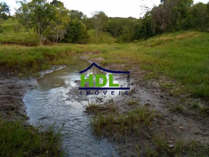 Foto 39 de Fazenda / Haras à venda em Piracanjuba - GO