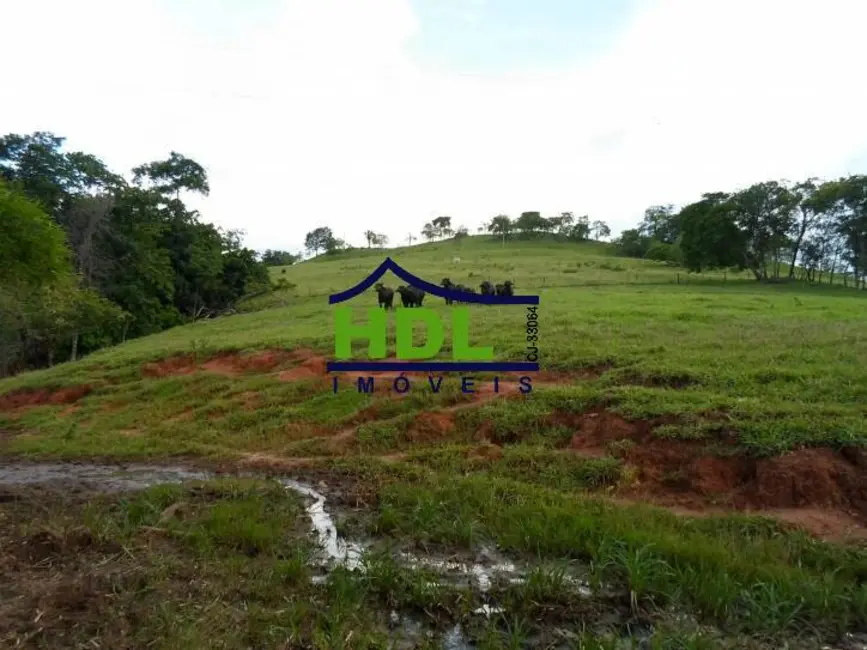 Foto 41 de Fazenda / Haras à venda em Piracanjuba - GO