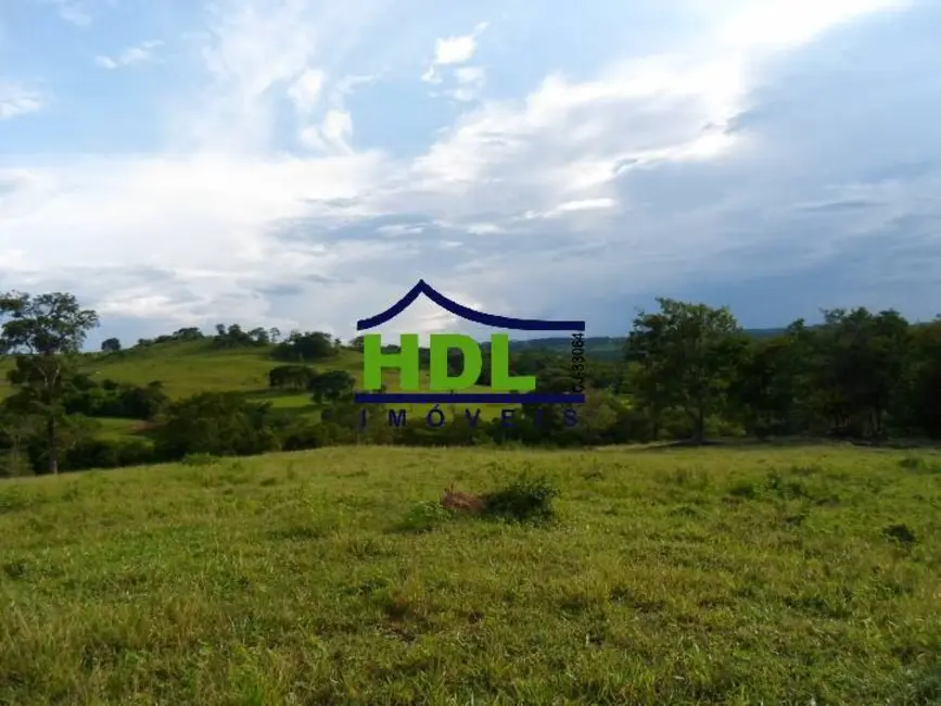 Foto 37 de Fazenda / Haras à venda em Piracanjuba - GO