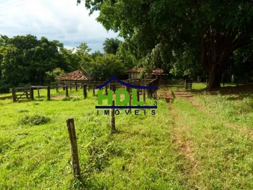 Foto 31 de Fazenda / Haras à venda em Piracanjuba - GO