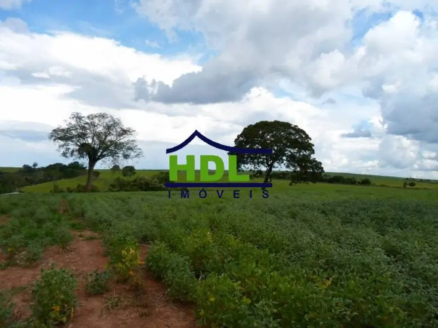 Foto 20 de Fazenda / Haras à venda em Piracanjuba - GO