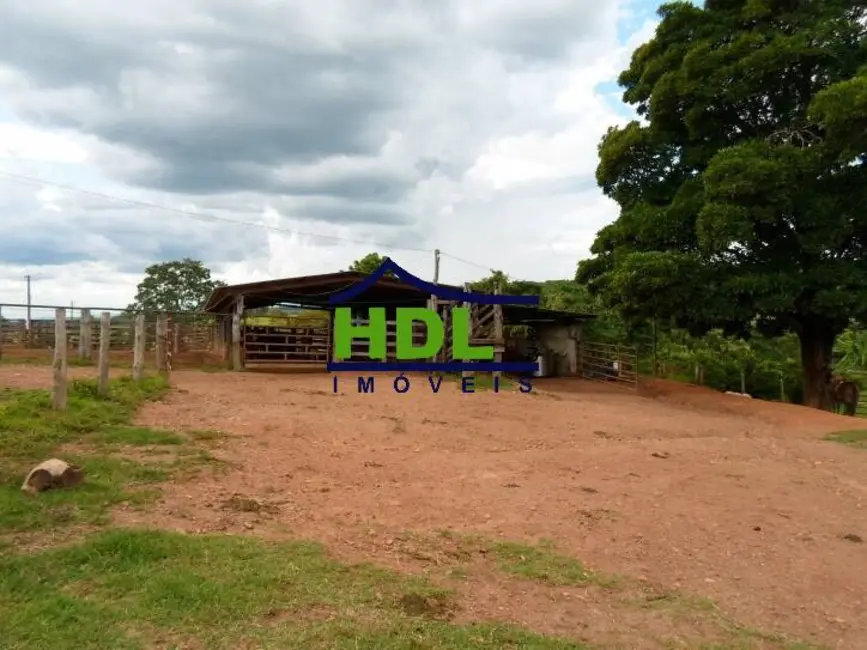 Foto 3 de Fazenda / Haras à venda em Piracanjuba - GO