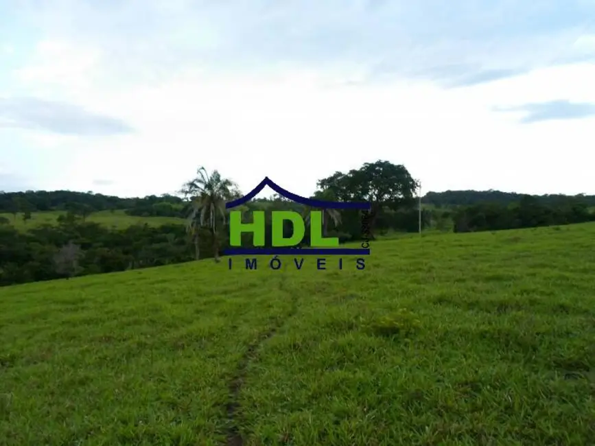 Foto 25 de Fazenda / Haras à venda em Piracanjuba - GO