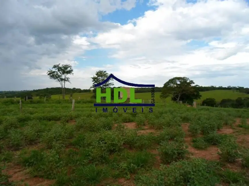 Foto 15 de Fazenda / Haras à venda em Piracanjuba - GO